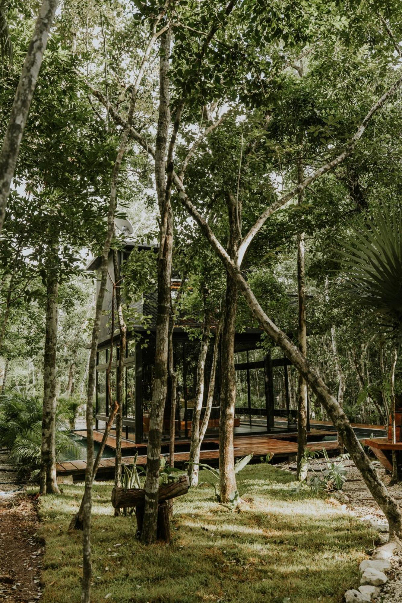 K Naj Community Cenote *